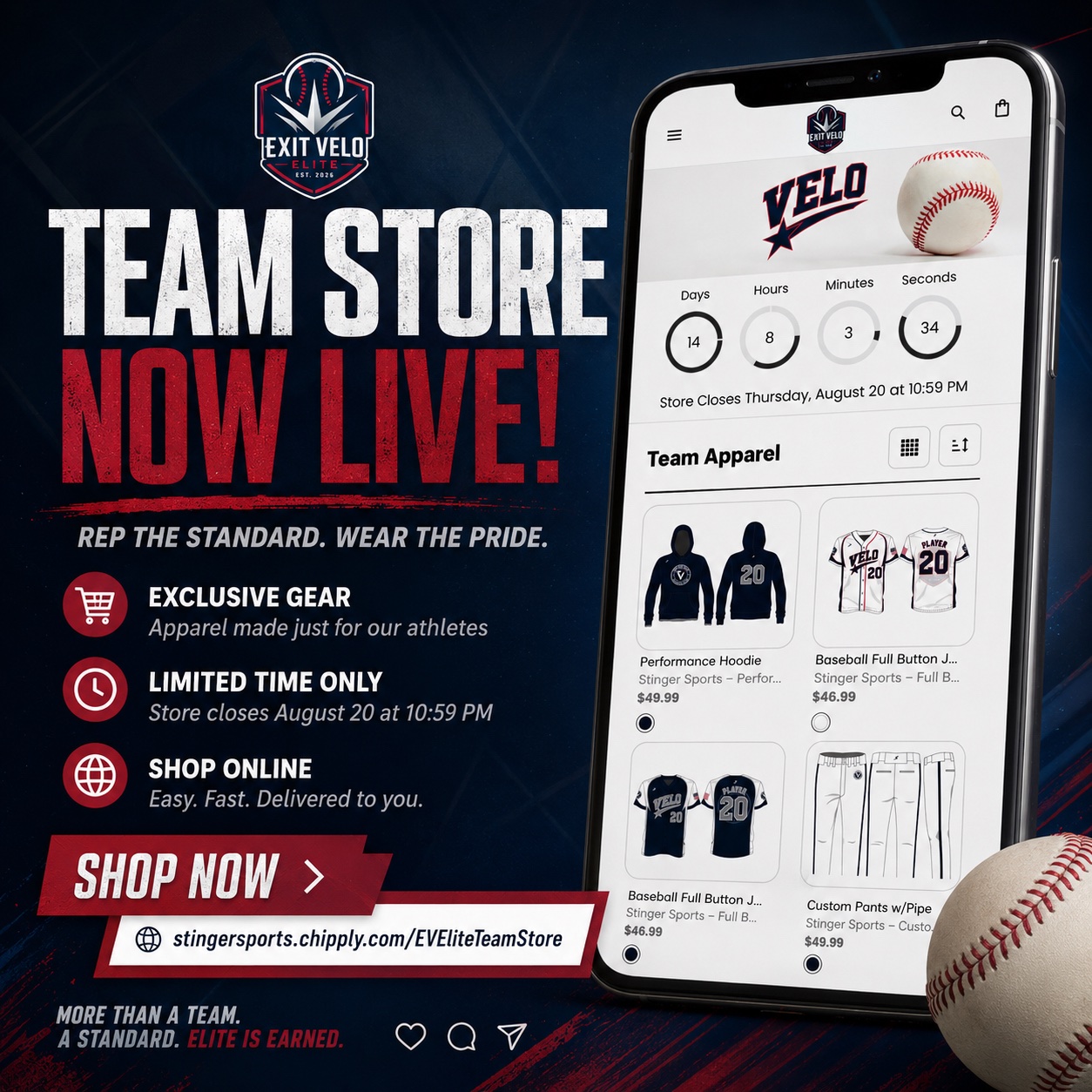 Team store now live graphic